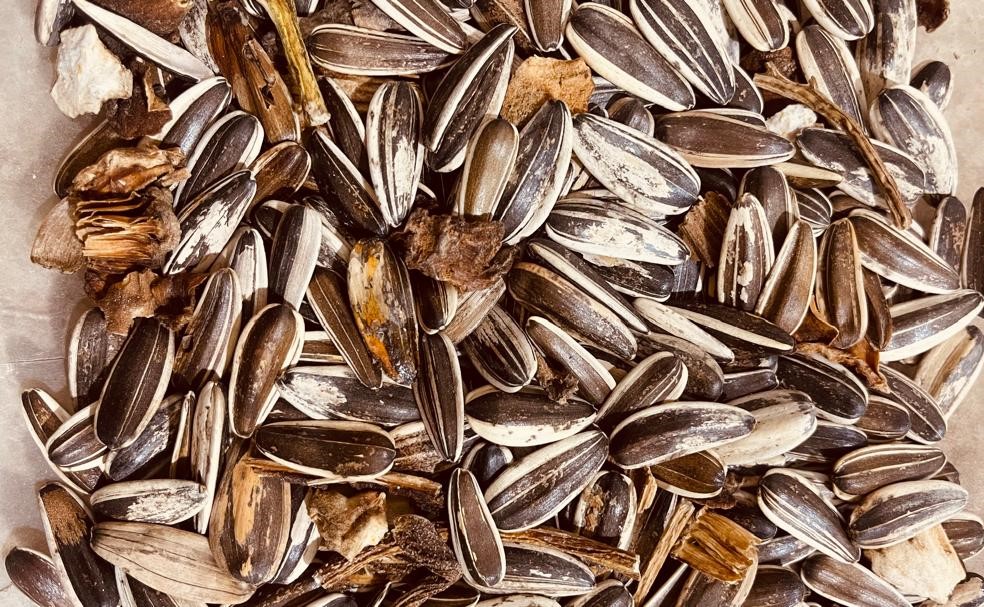 بوجاری تخمه آفتابگردان و کدو