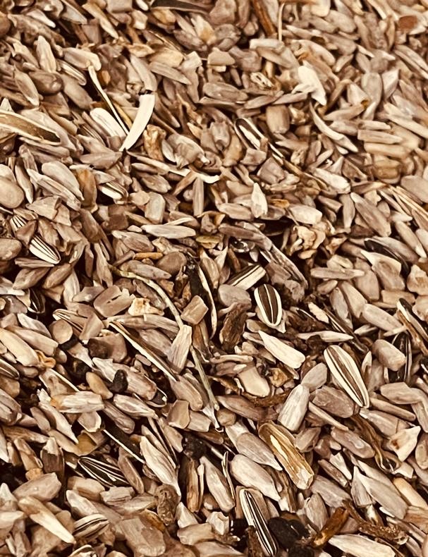 پوست گیری و تولید مغز