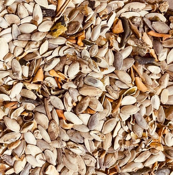 سورت سرندی تخمه آفتابگردان و کدو