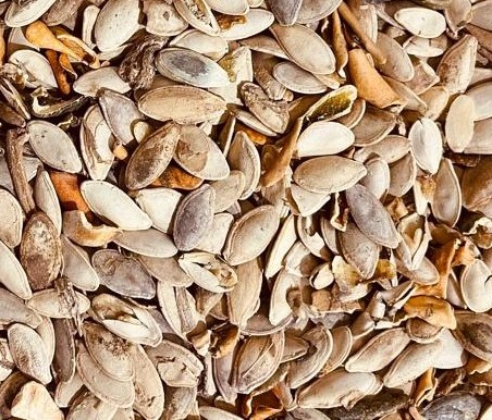 سورت رنگی تخمه آفتابگردان و کدو