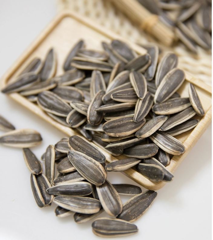  تخمه آفتابگردان و فواید شگفت‌انگیز آن برای بدن