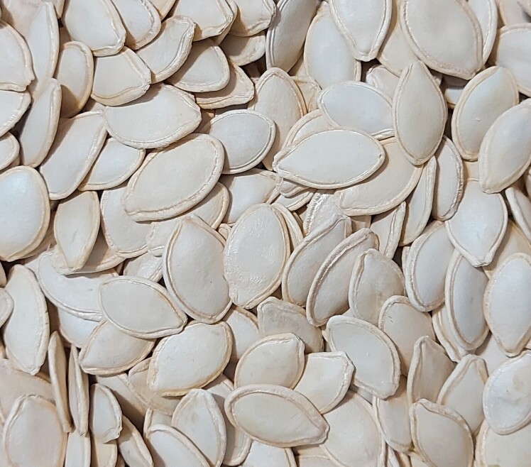 انواع تخمه کدو خوی و ویژگی‌های آن